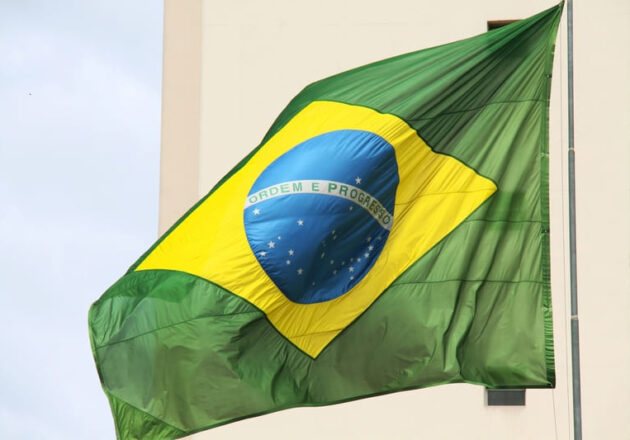 ブラジル調査報告書