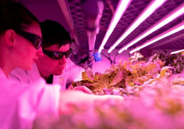 イノベーションマネジメント