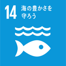 SDGs海の豊かさを守ろう