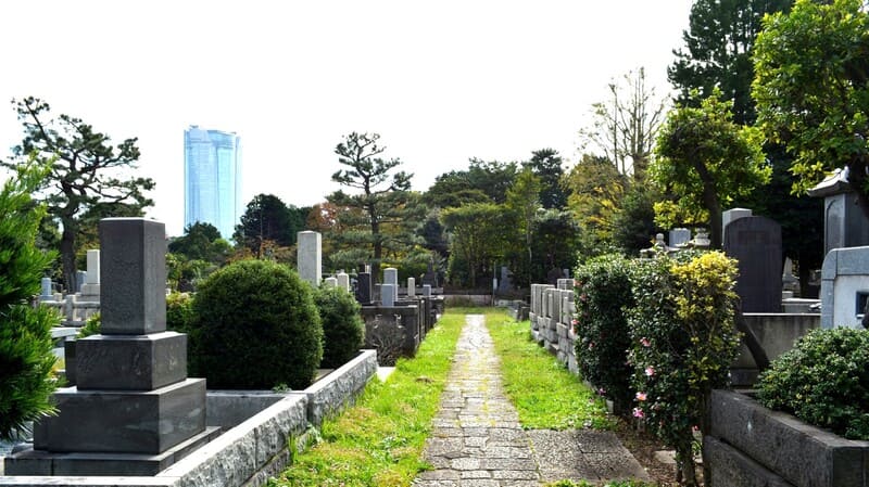 青山霊園の写真