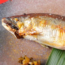 吉田屋の鮎の写真