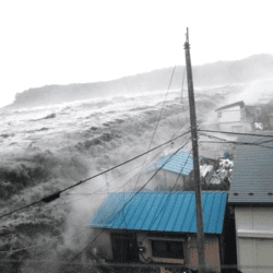 東日本大震災
